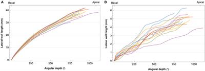 Toward neural health measurements for cochlear implantation: The relationship among electrode positioning, the electrically evoked action potential, impedances and behavioral stimulation levels